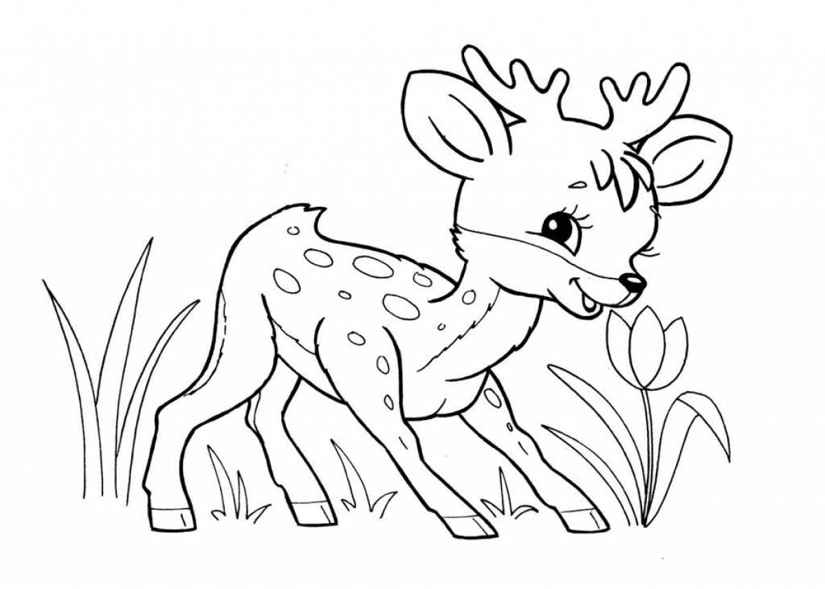Photo Deer coloring page