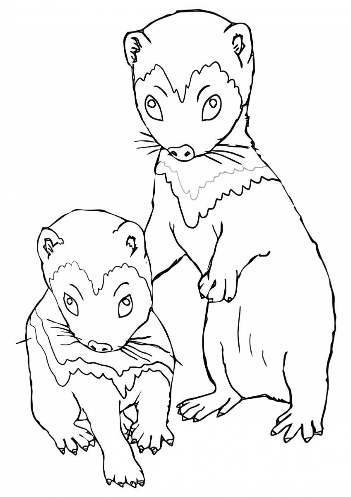 Ferret with a cub