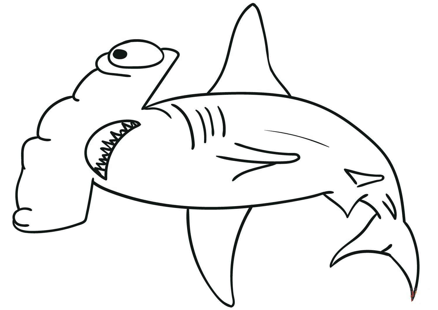 Фото Рисунок акула молот
