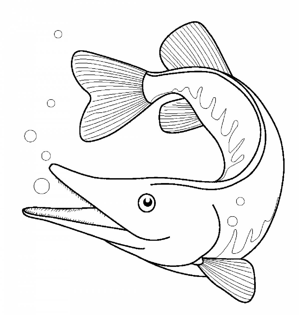 Pike coloring page