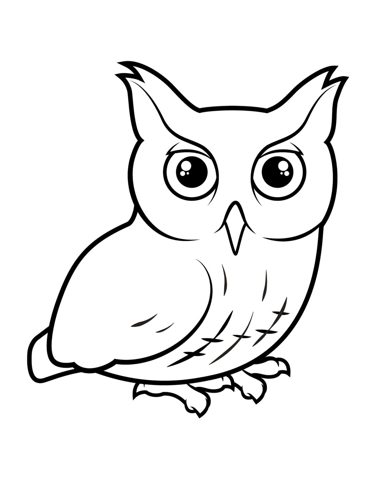 Big-eyed owl