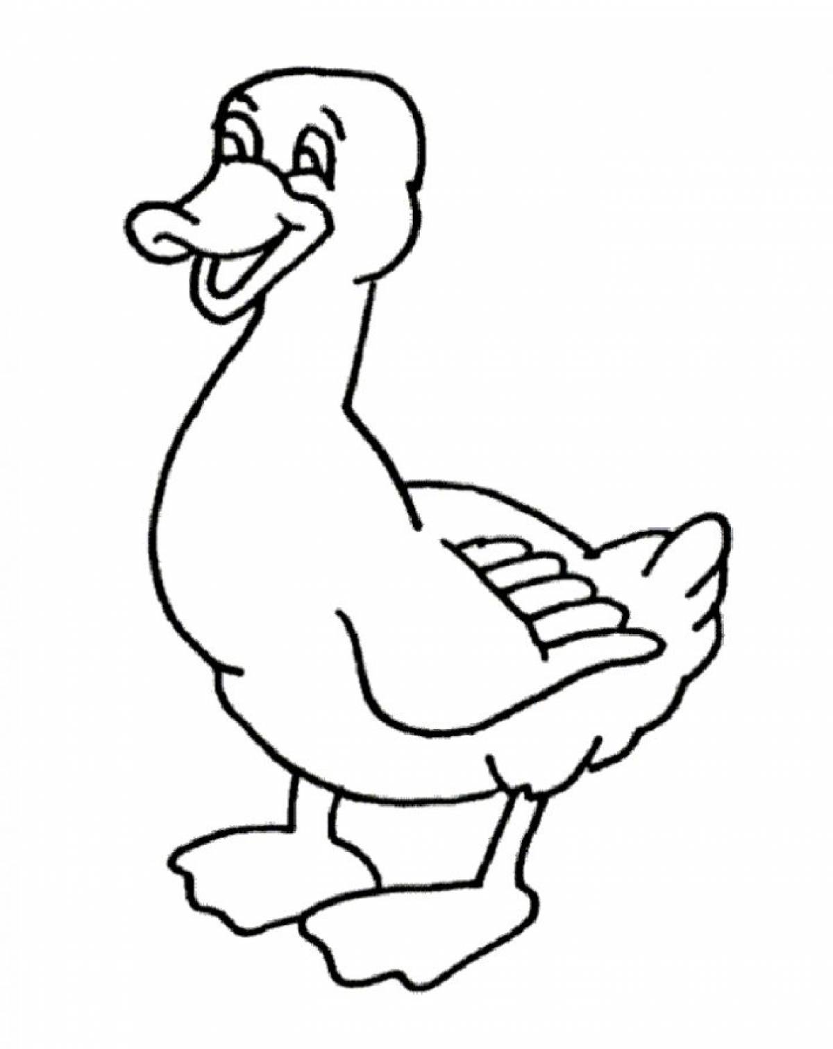 Duck coloring book