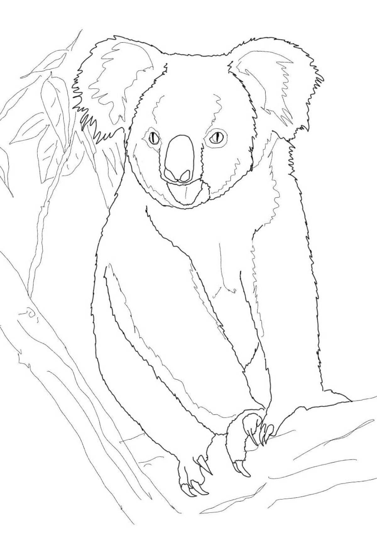 Photo Koala sits on a tree
