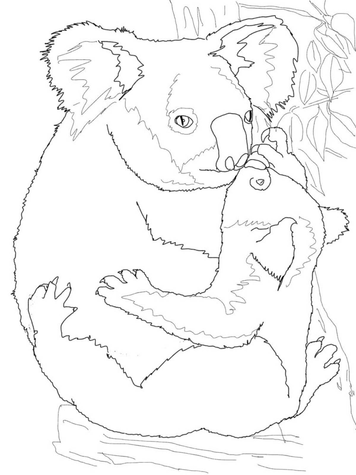 Photo Koala hugging a baby