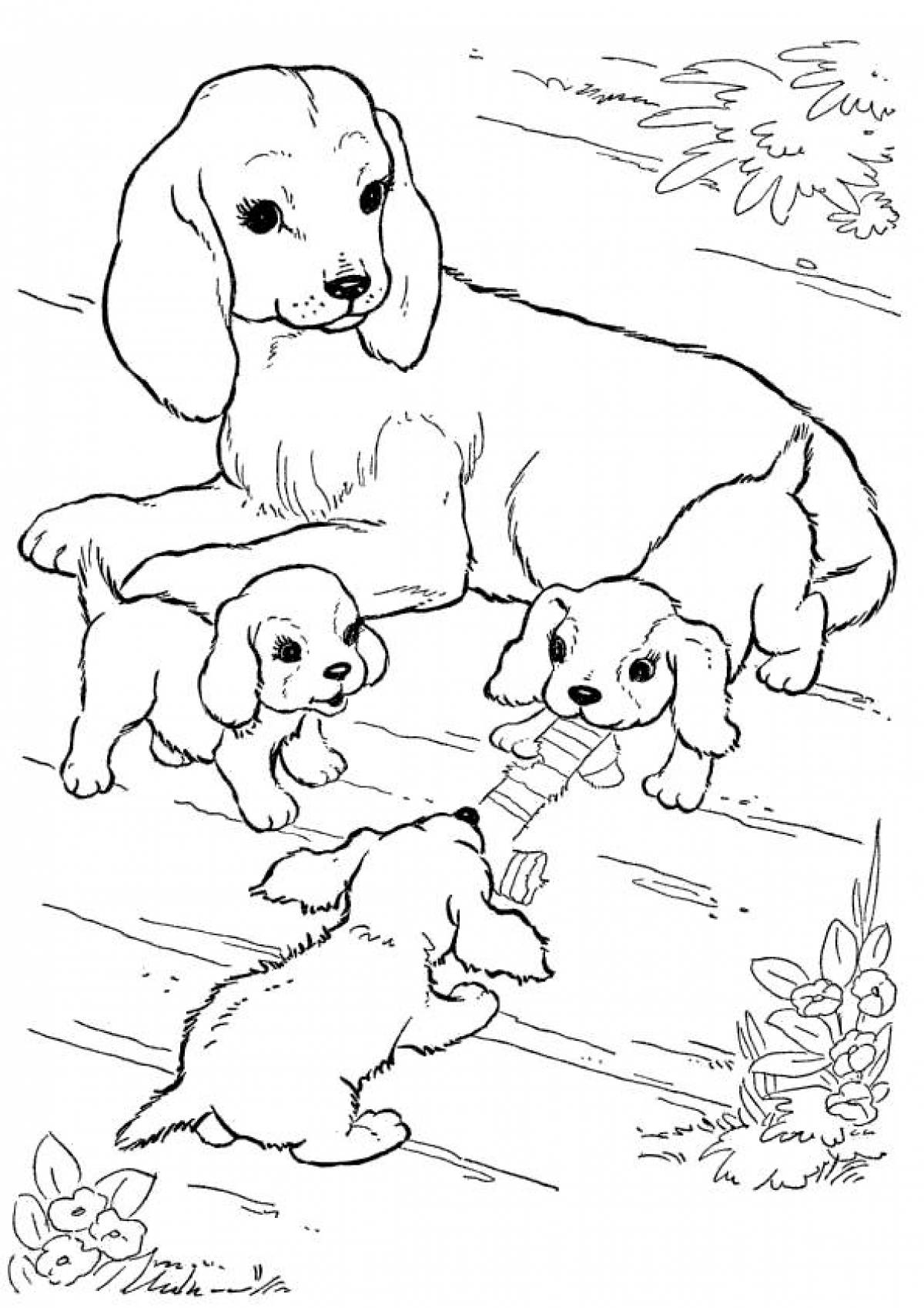 Раскраска Собака и два щенка, скачать и распечатать раскраску раздела Животные и их детеныши