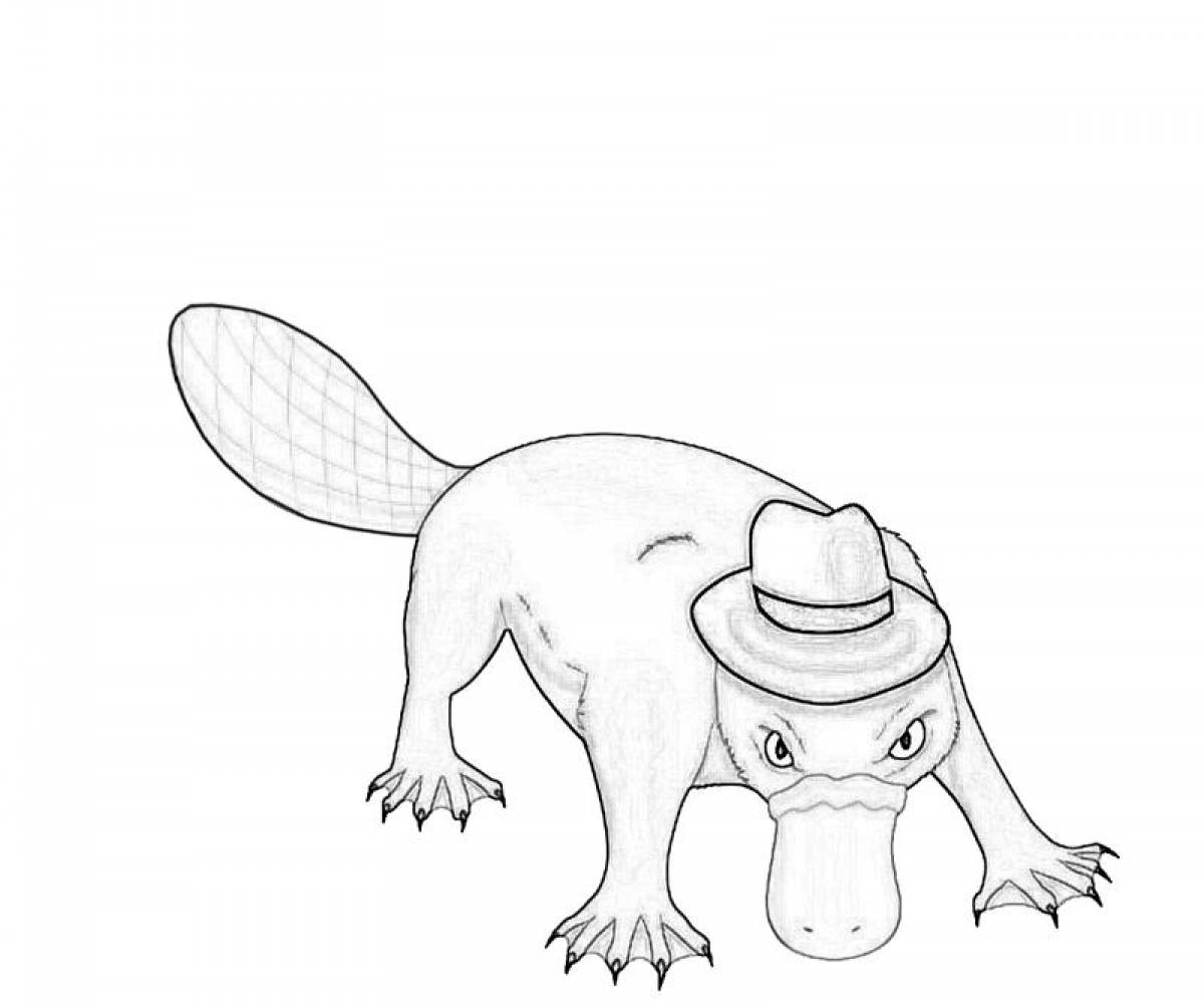 Platypus in a hat