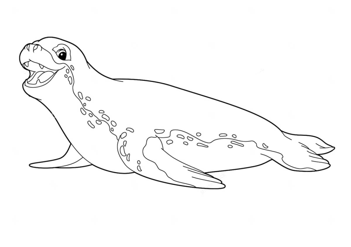 Large seal