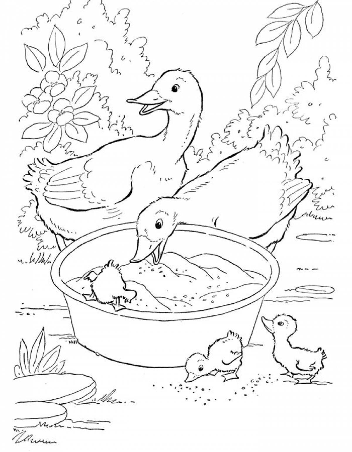 Photo Duck and ducklings in a bowl