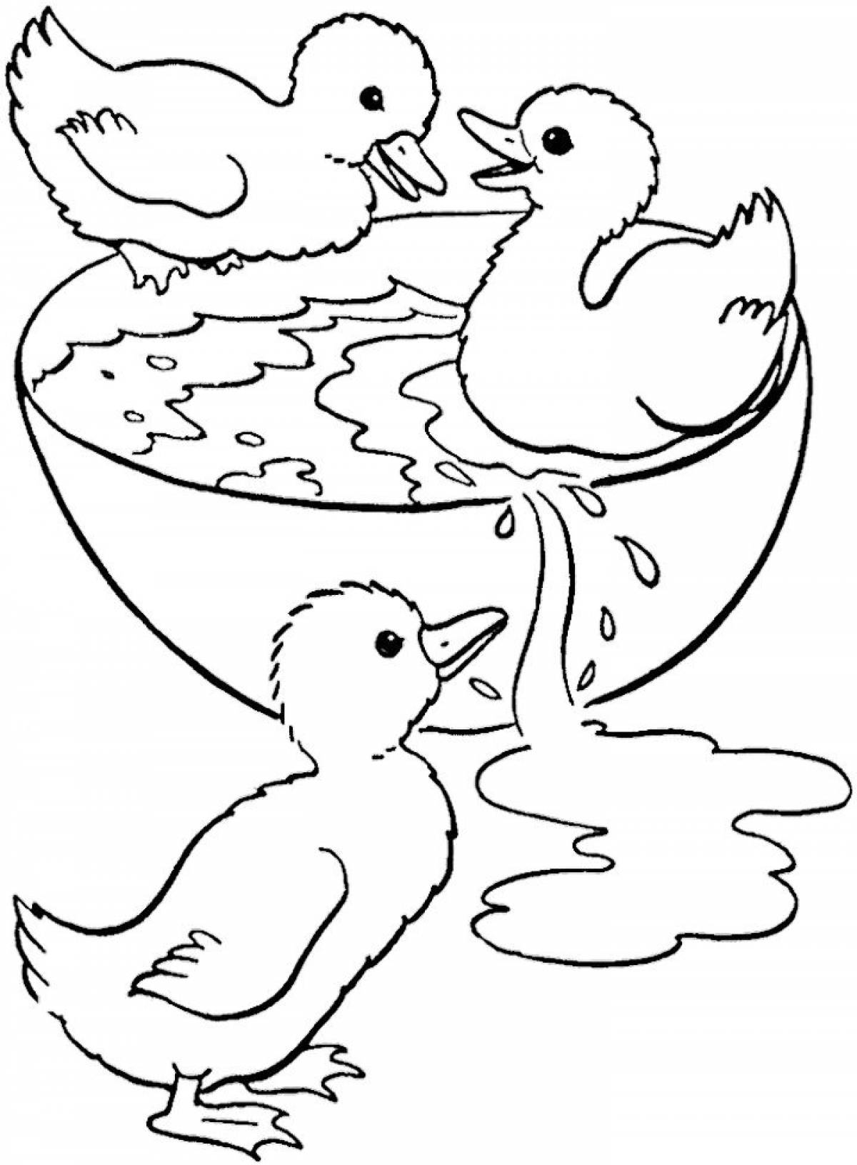 Photo Ducklings in a bowl