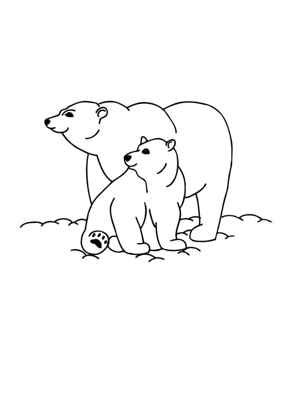 Фото Медведь и медвежонок