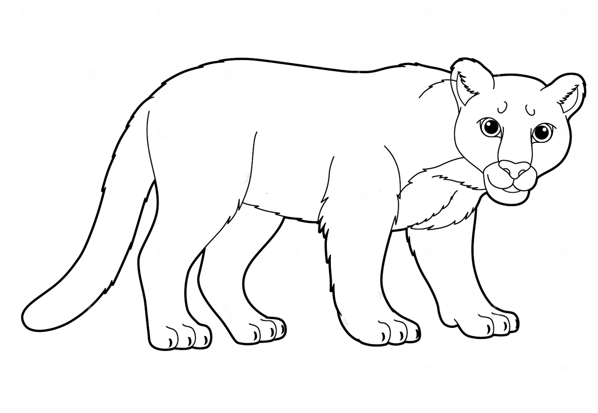 Photo Lioness coloring page