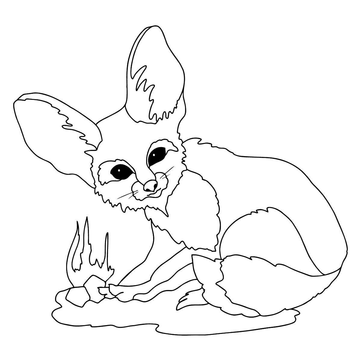 Раскраска веселый фенек