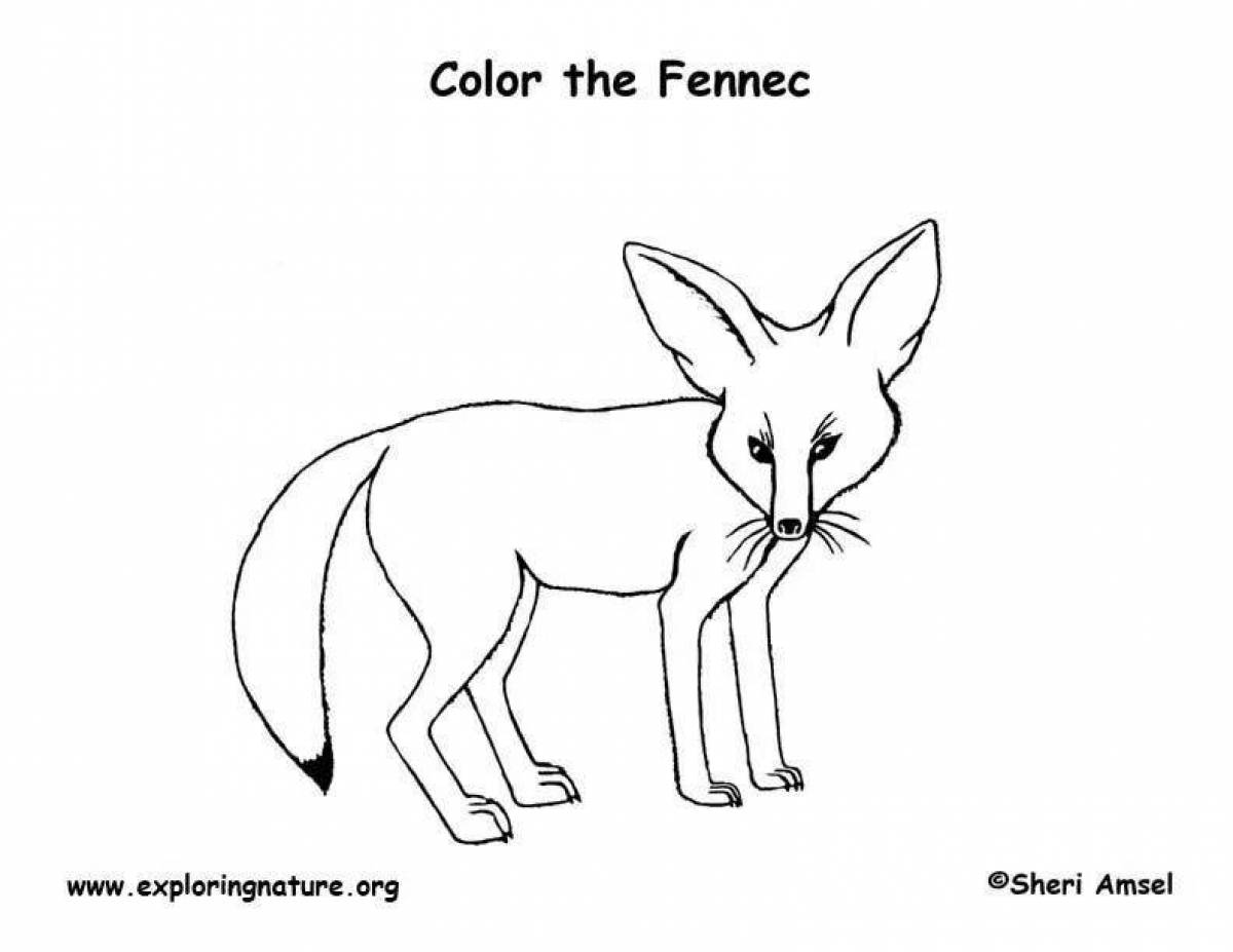Coloring radiant fennec fox