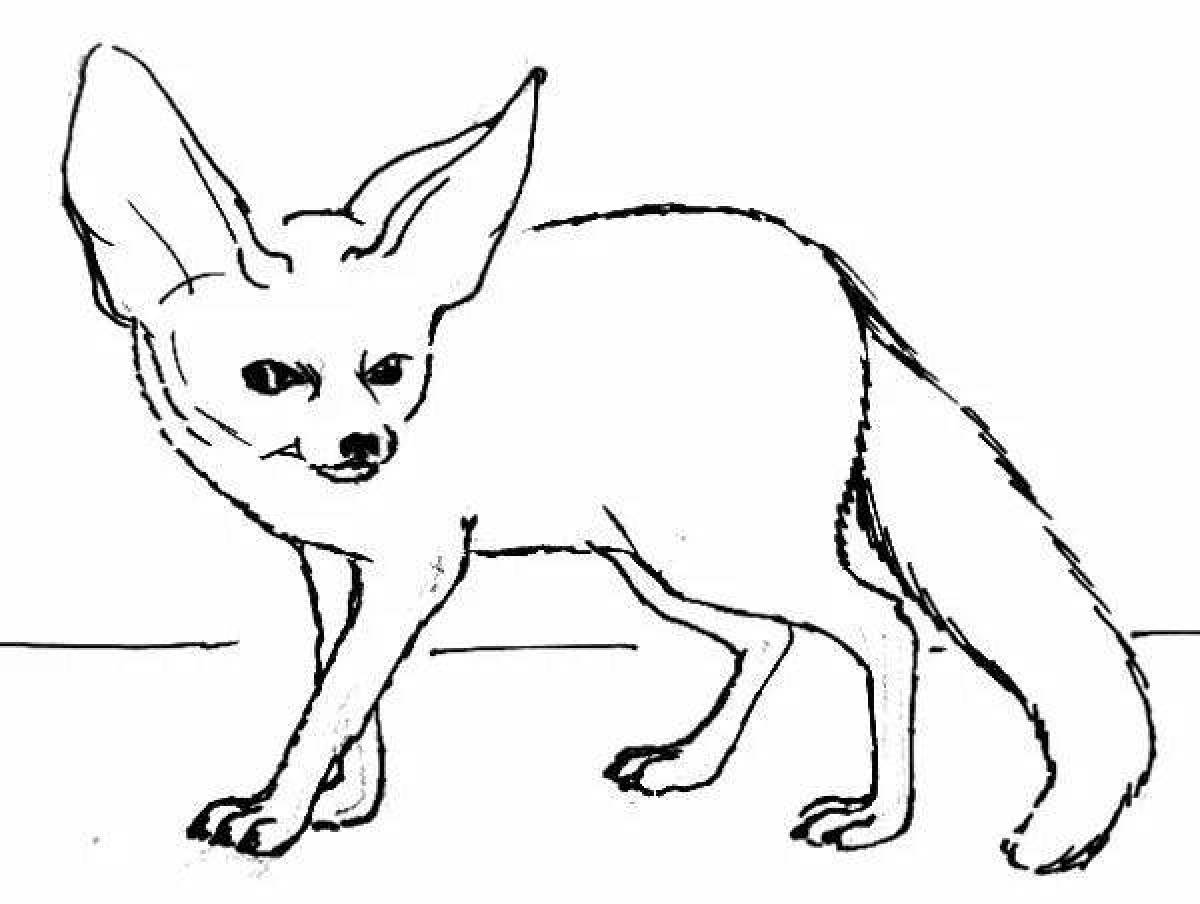 Раскраска блестящий фенек