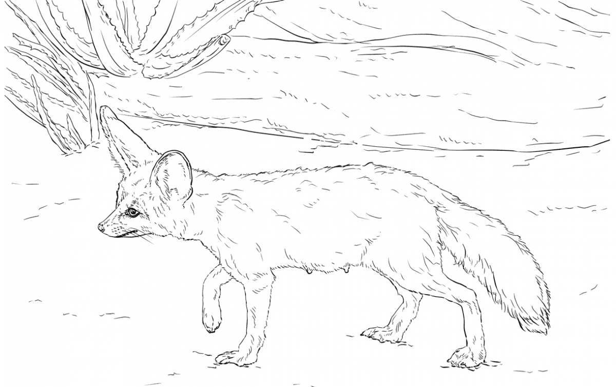 Раскраска очаровательный фенек