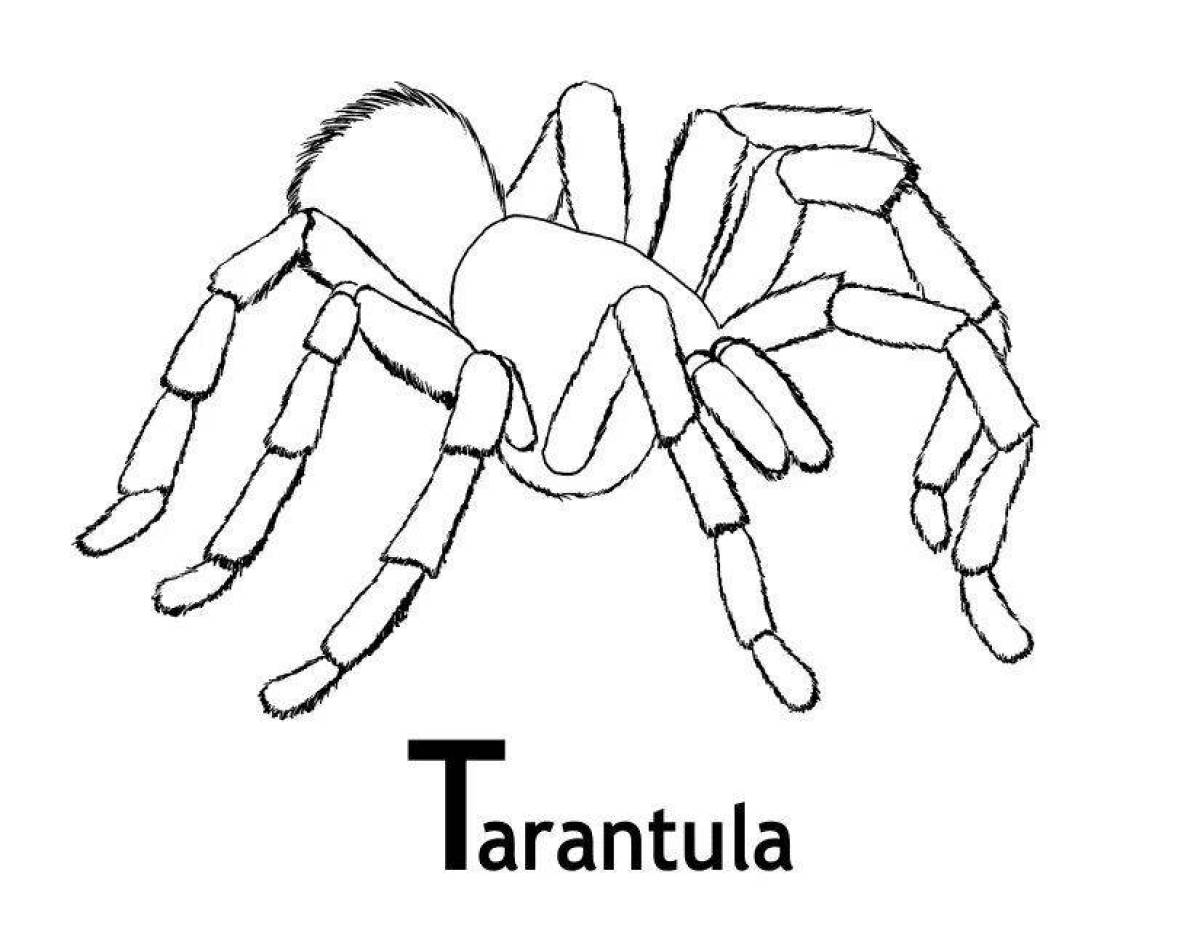 Яркая страница раскраски тарантула