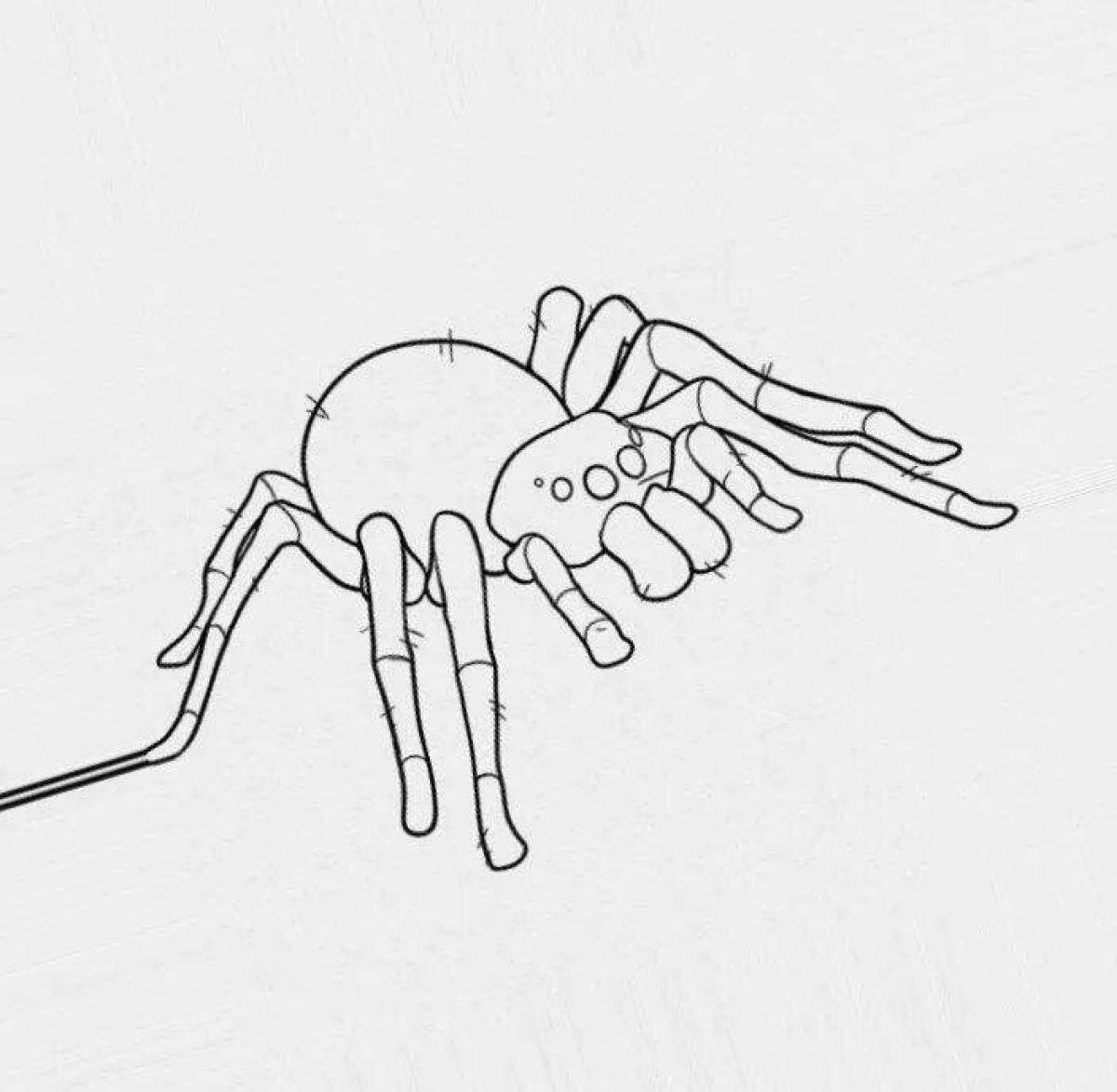 Замысловатая страница раскраски тарантула