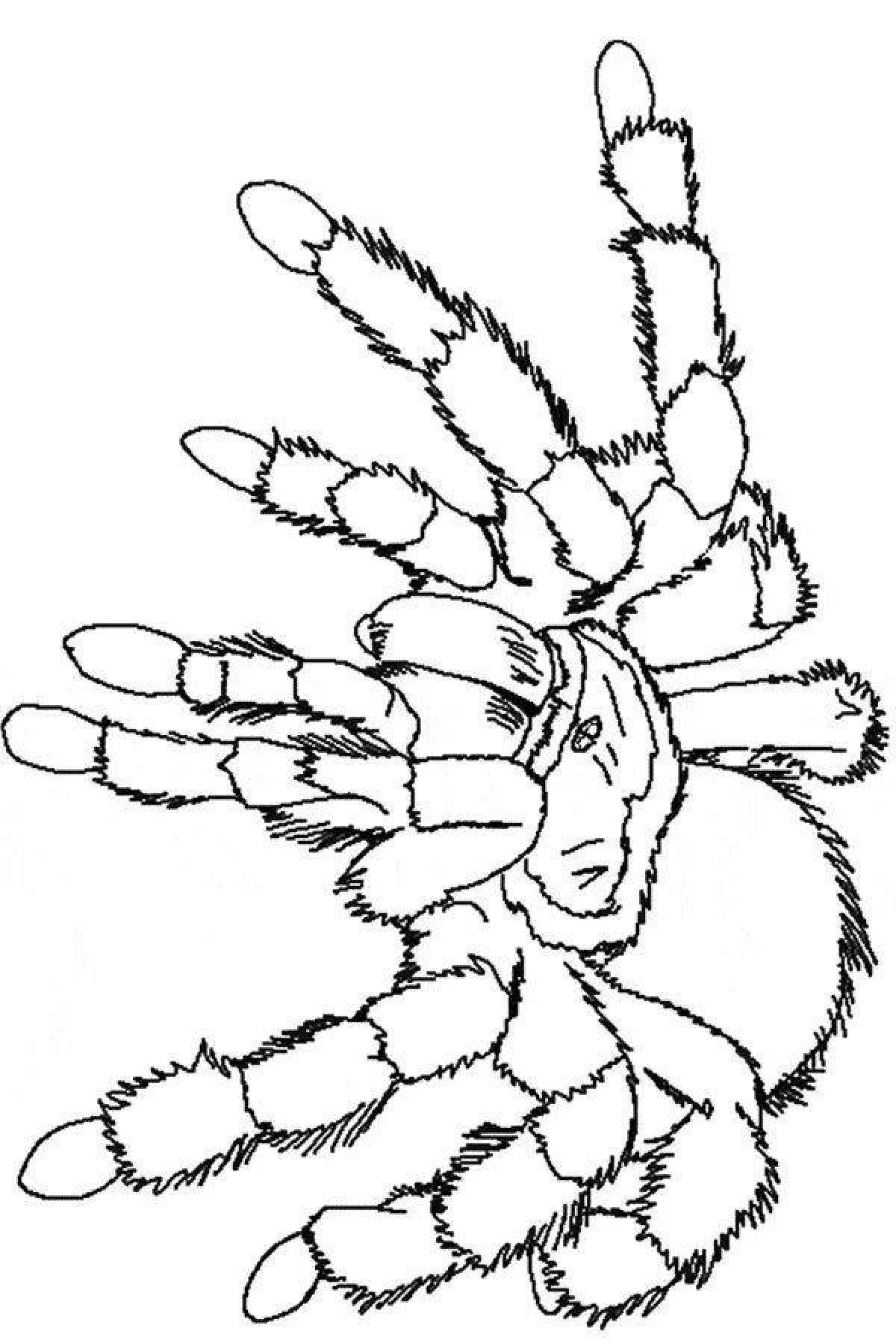 Удивительная страница раскраски тарантул