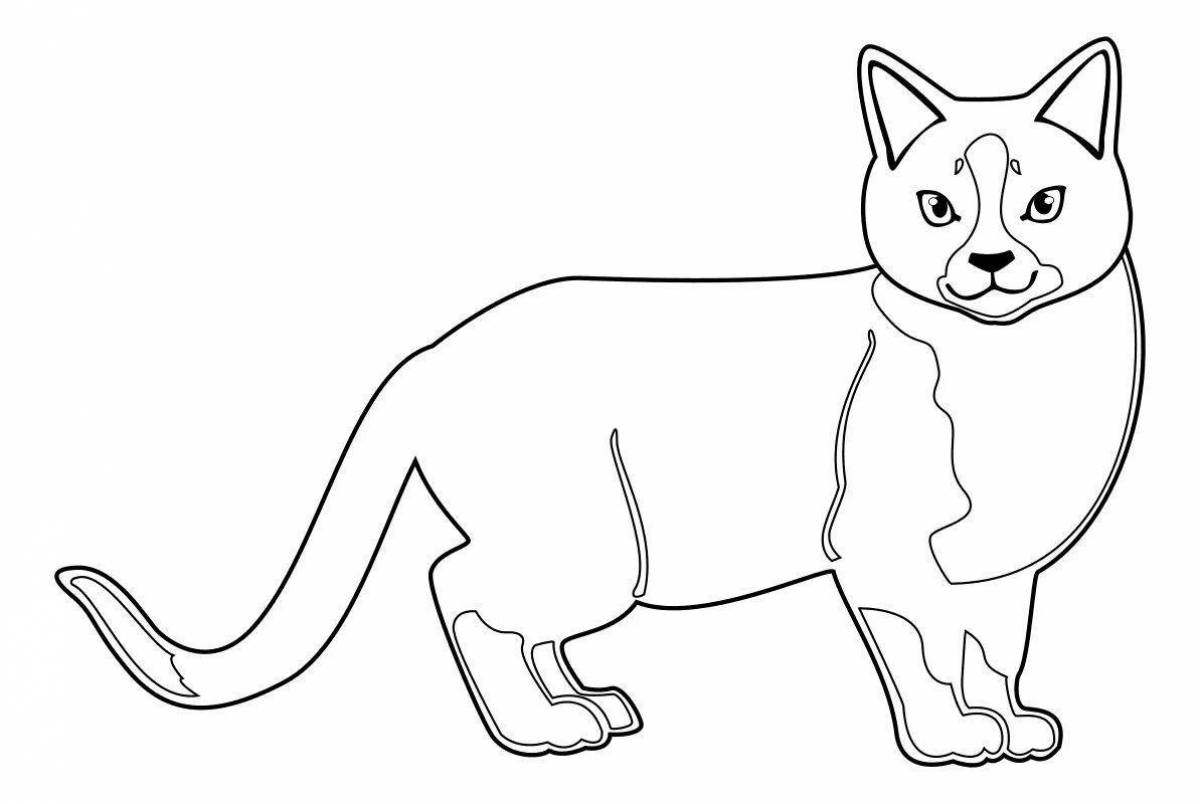 Coloring book magical meow