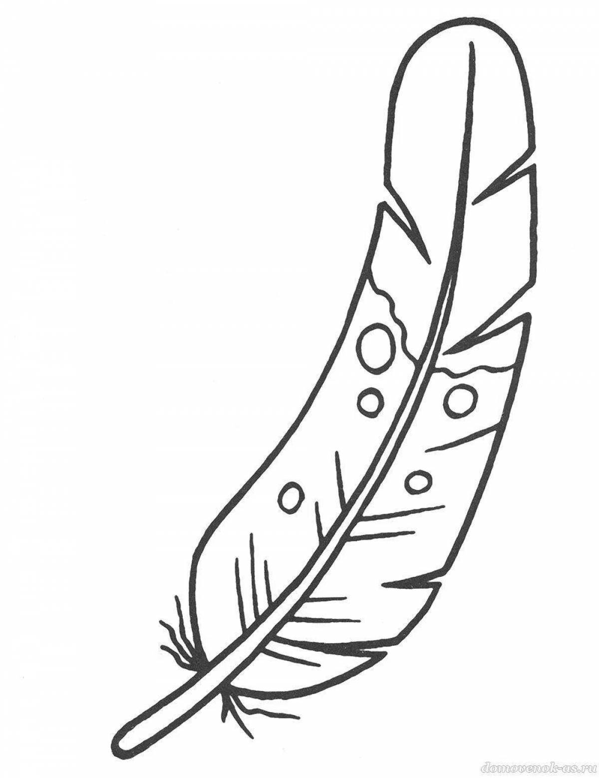 Красочная страница раскраски перьев