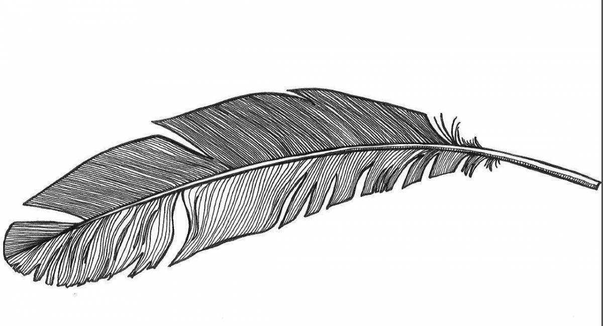 Coloring page with colorful feathers