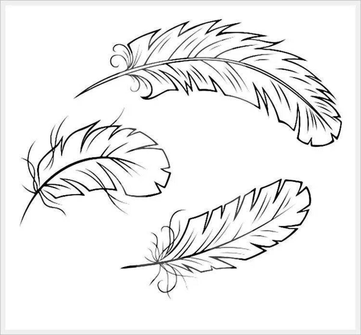 Страница раскраски украшенных перьев