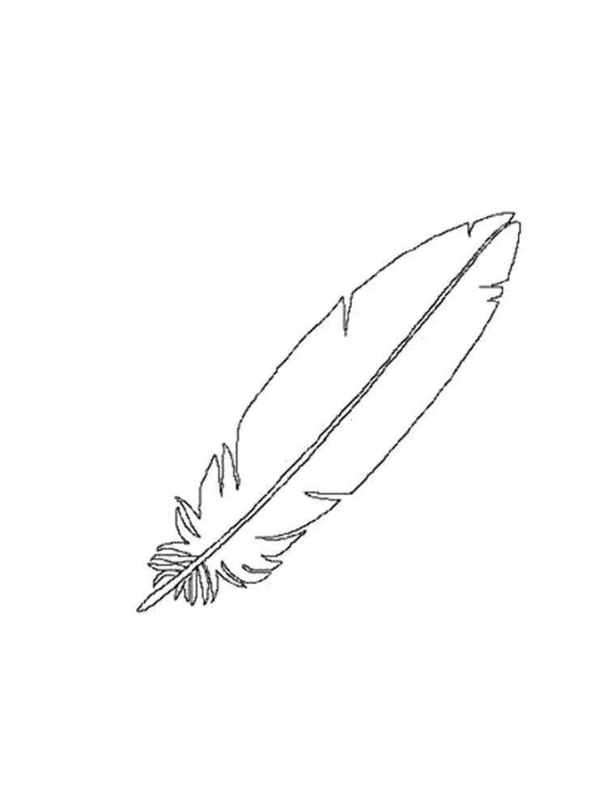 Amazing feather coloring page