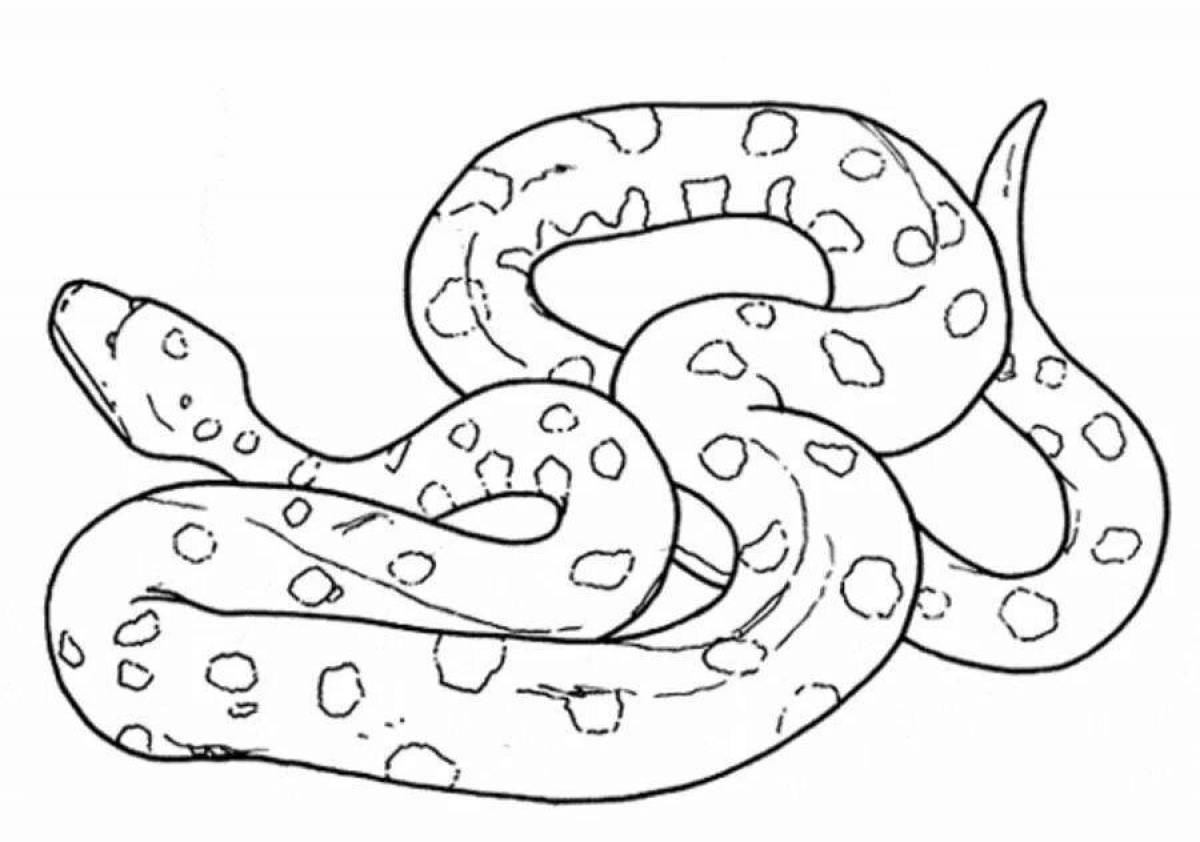 Coloring page joyful boa constrictor