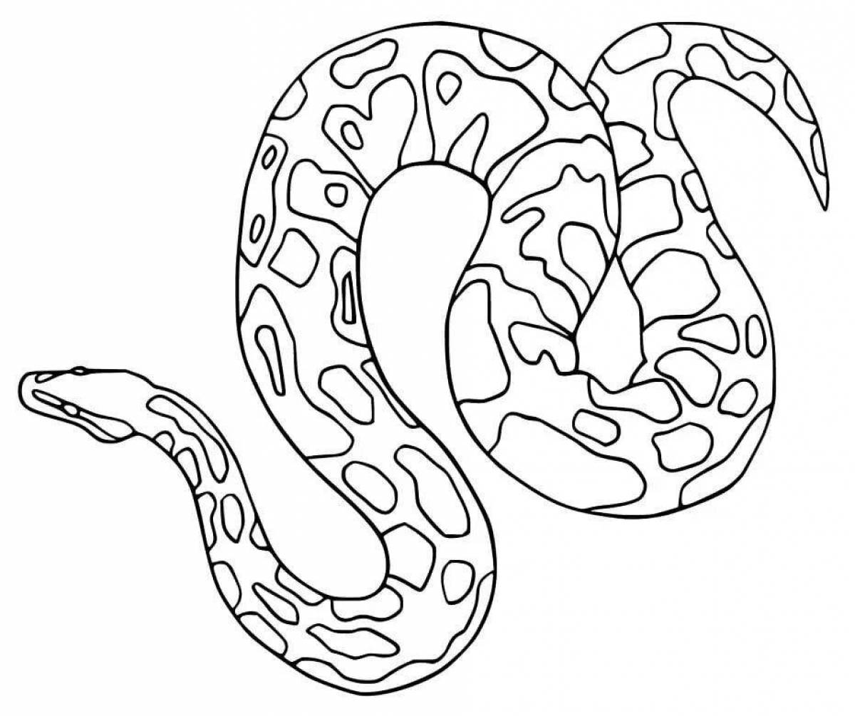 Amazing boa coloring page