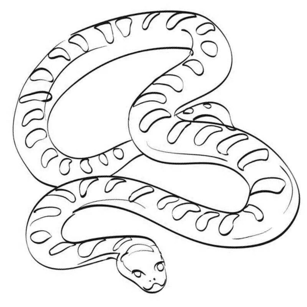 Coloring funny boa constrictor