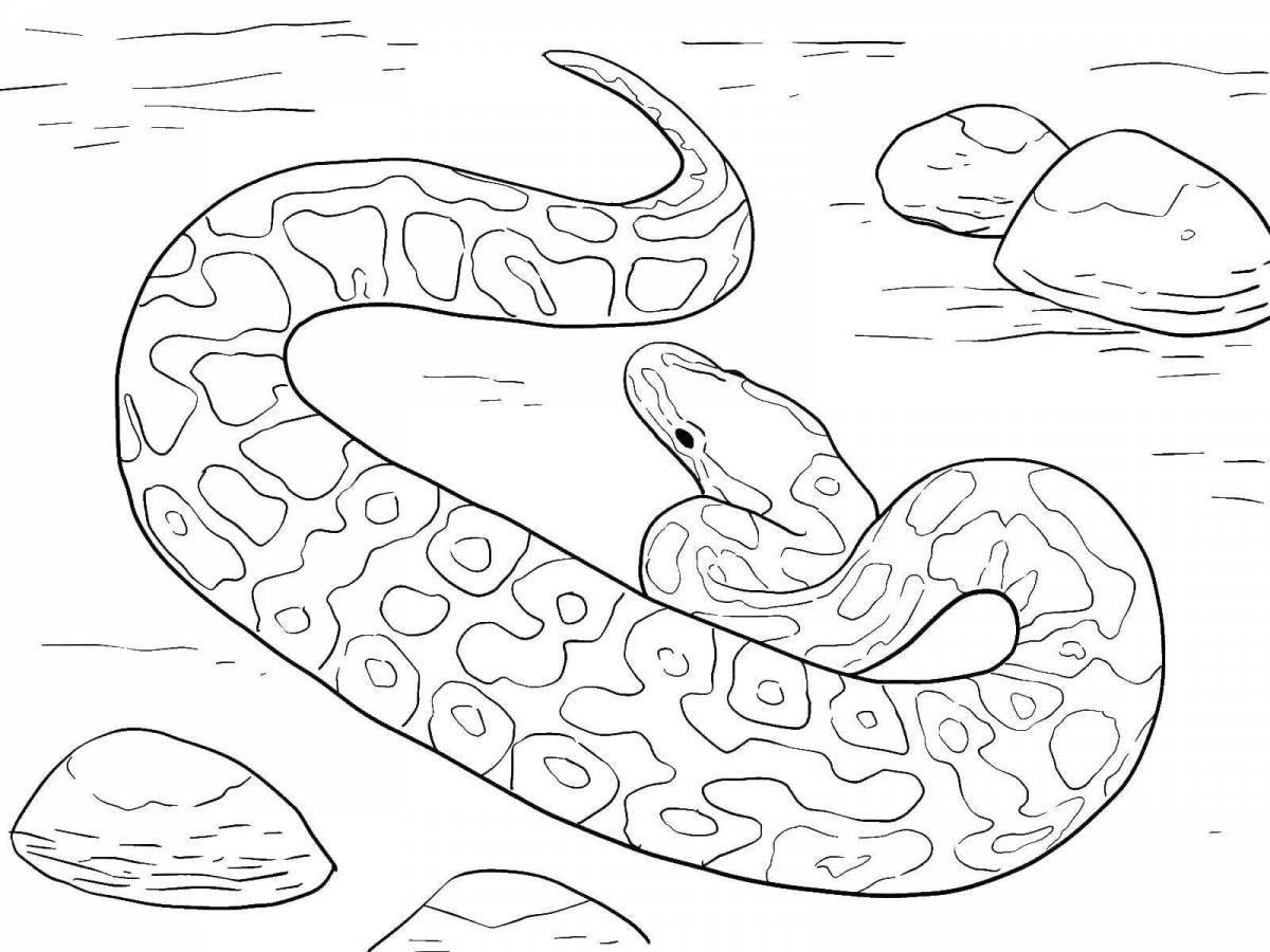 Coloring page friendly boa