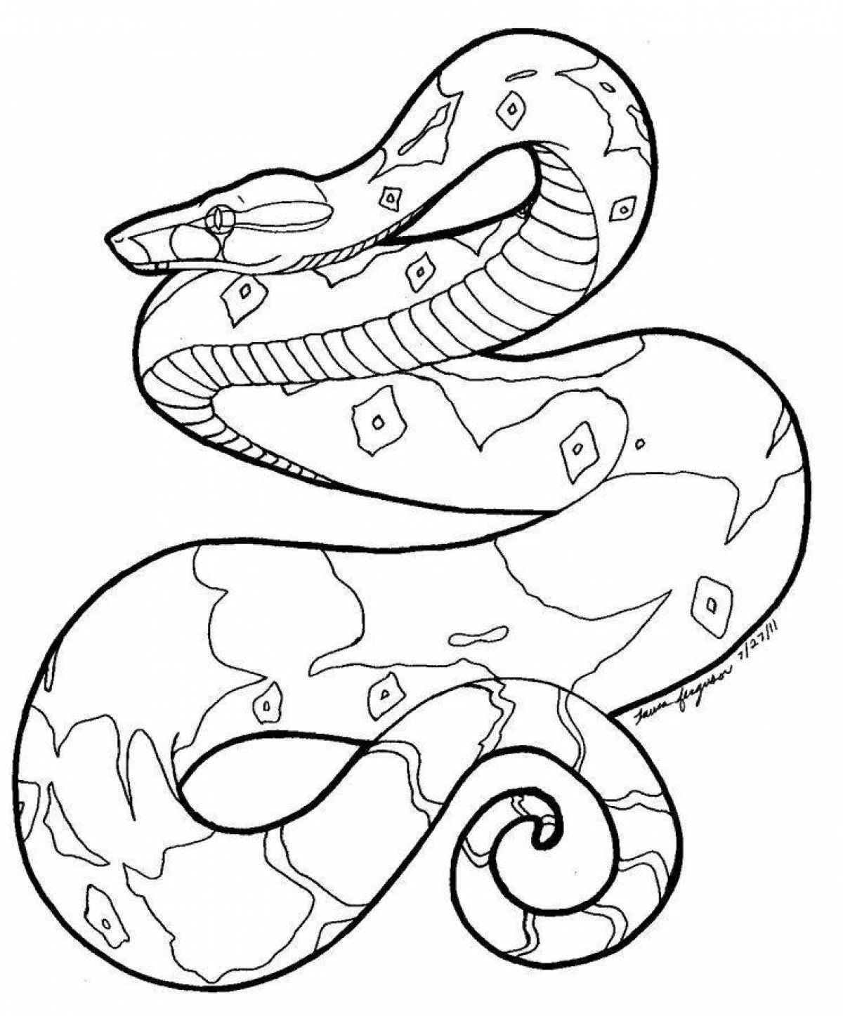 Sweet boa coloring page