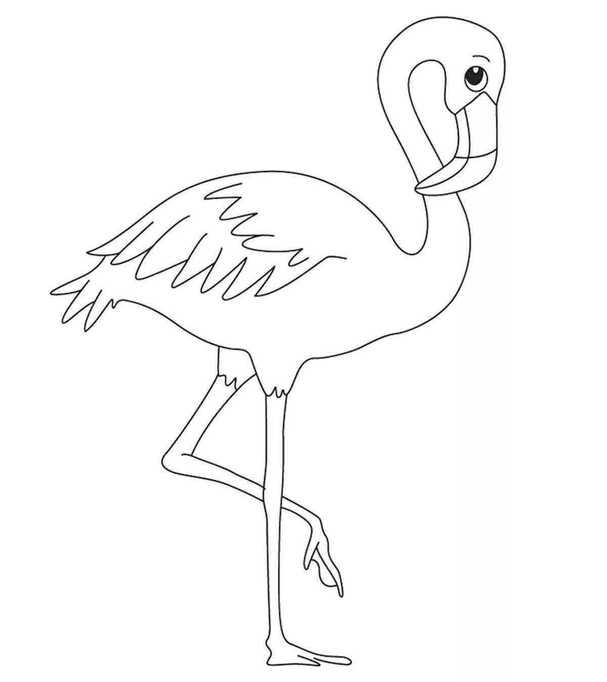 Fine pink flamingo coloring page