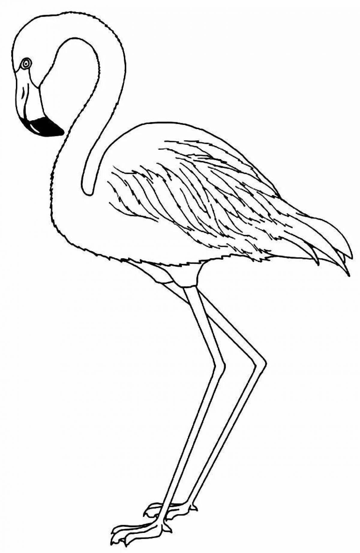 Delightful pink flamingo coloring page