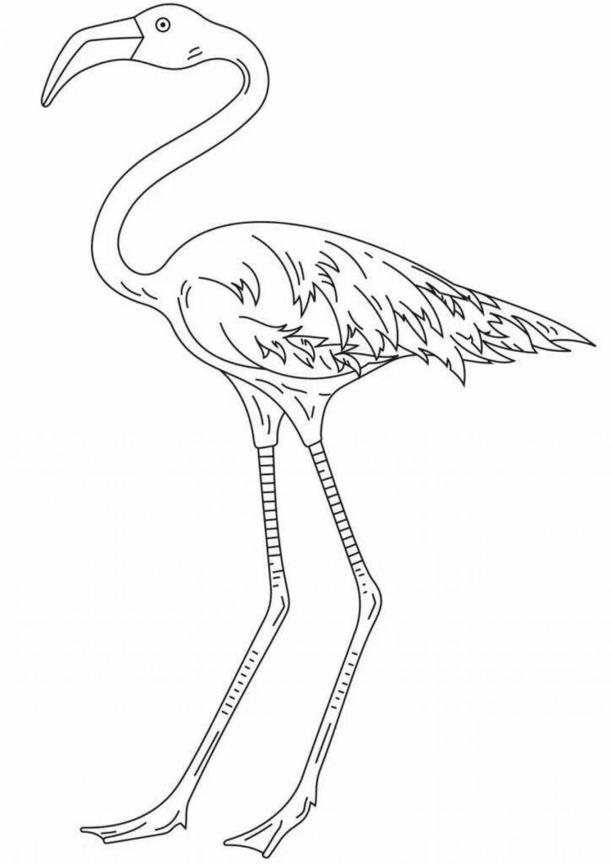 Coloring page lovely pink flamingo