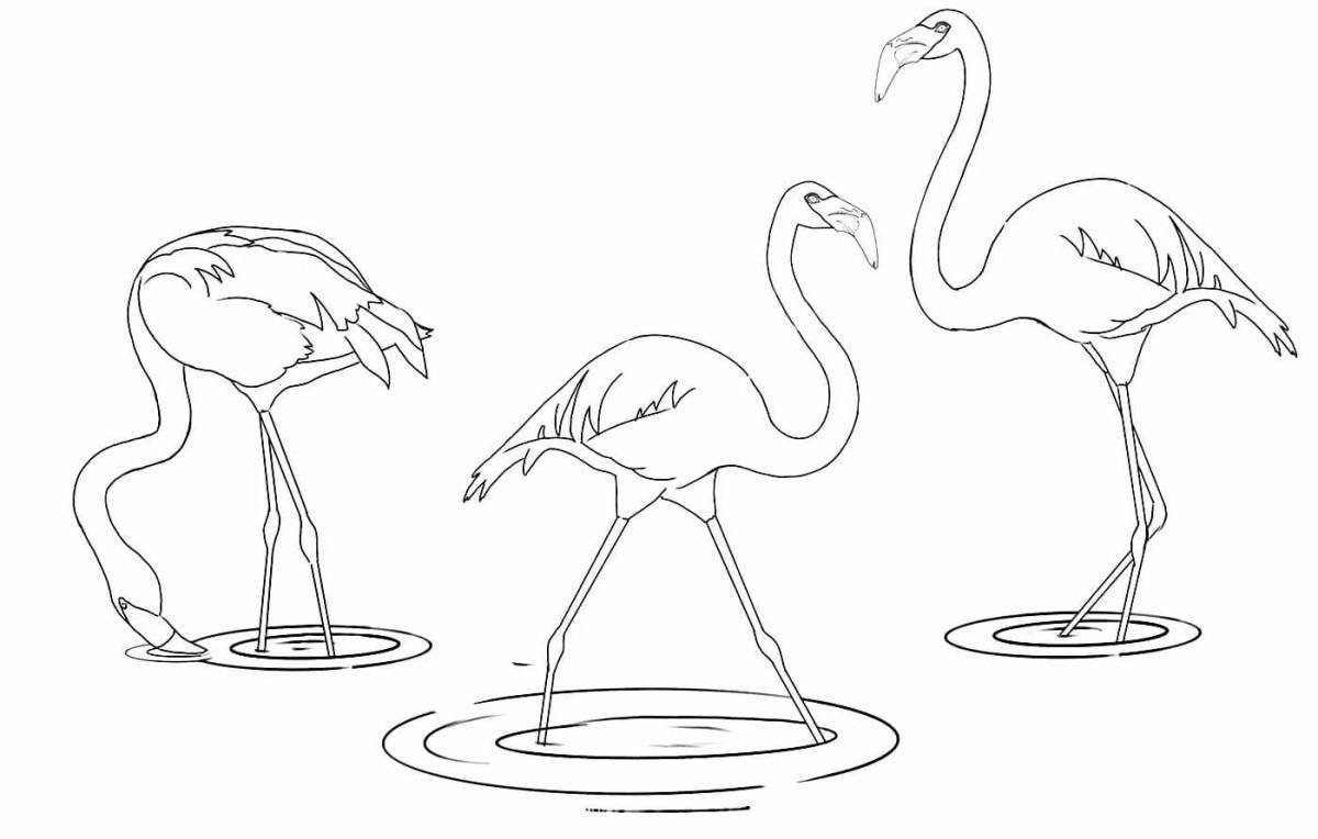 Coloring page festive pink flamingo