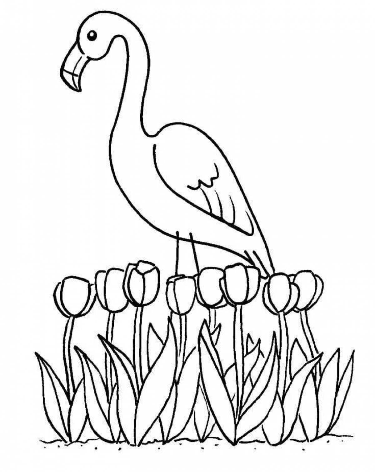 Coloring page gorgeous pink flamingo