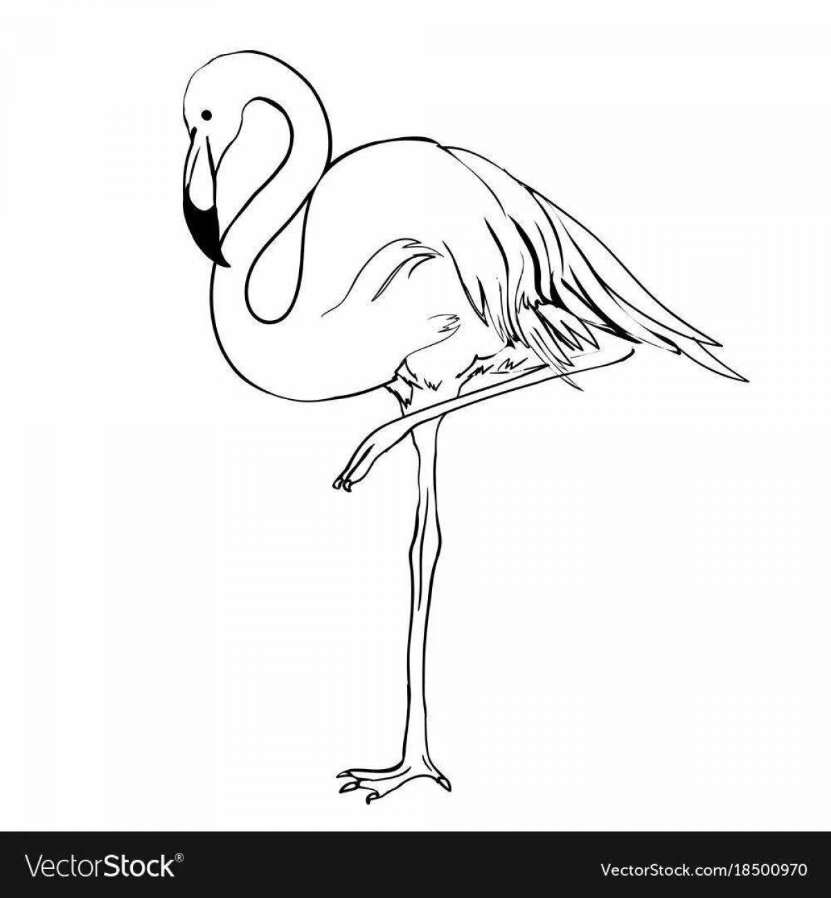 Dazzling pink flamingo coloring page