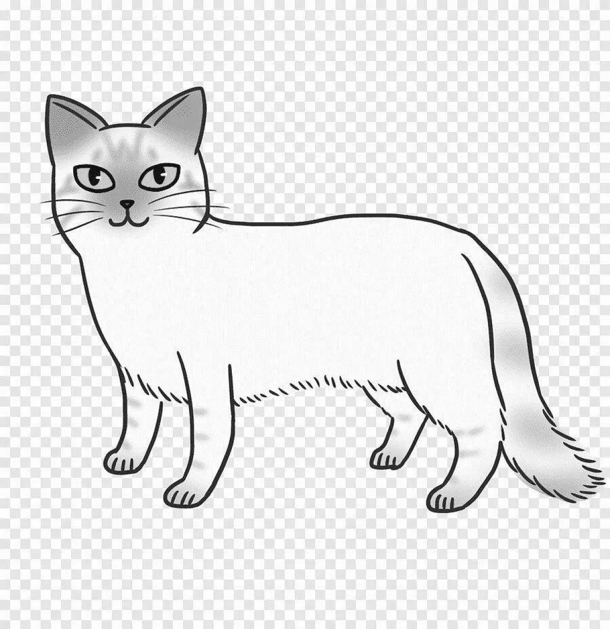 Coloring book playful Siamese cat
