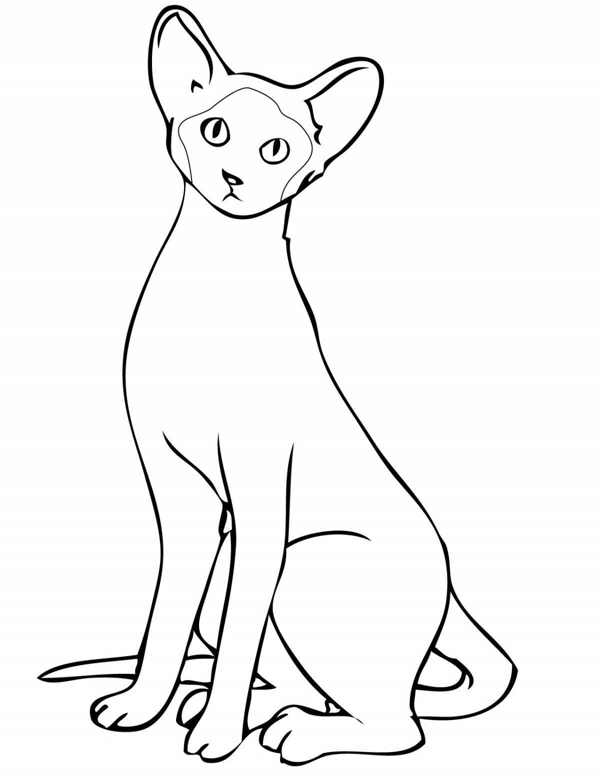 Очаровательная сиамская кошка-раскраска
