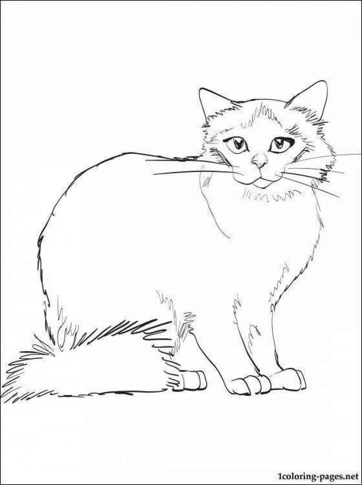 Coloring page graceful siamese cat