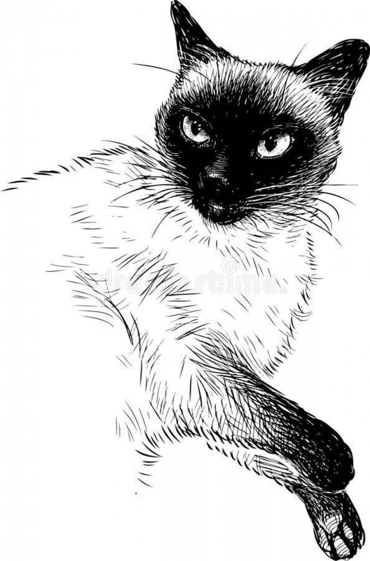 Naughty Siamese cat coloring page