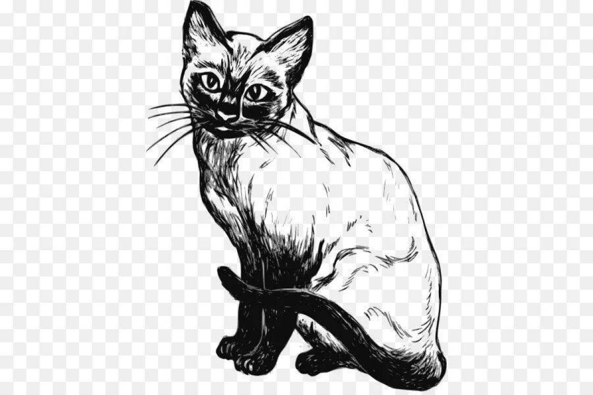 Colorful Siamese cat coloring page