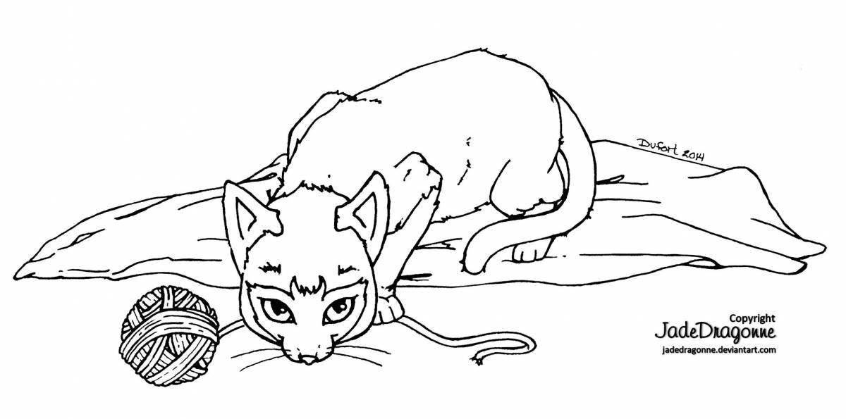 Coloring book bold Siamese cat