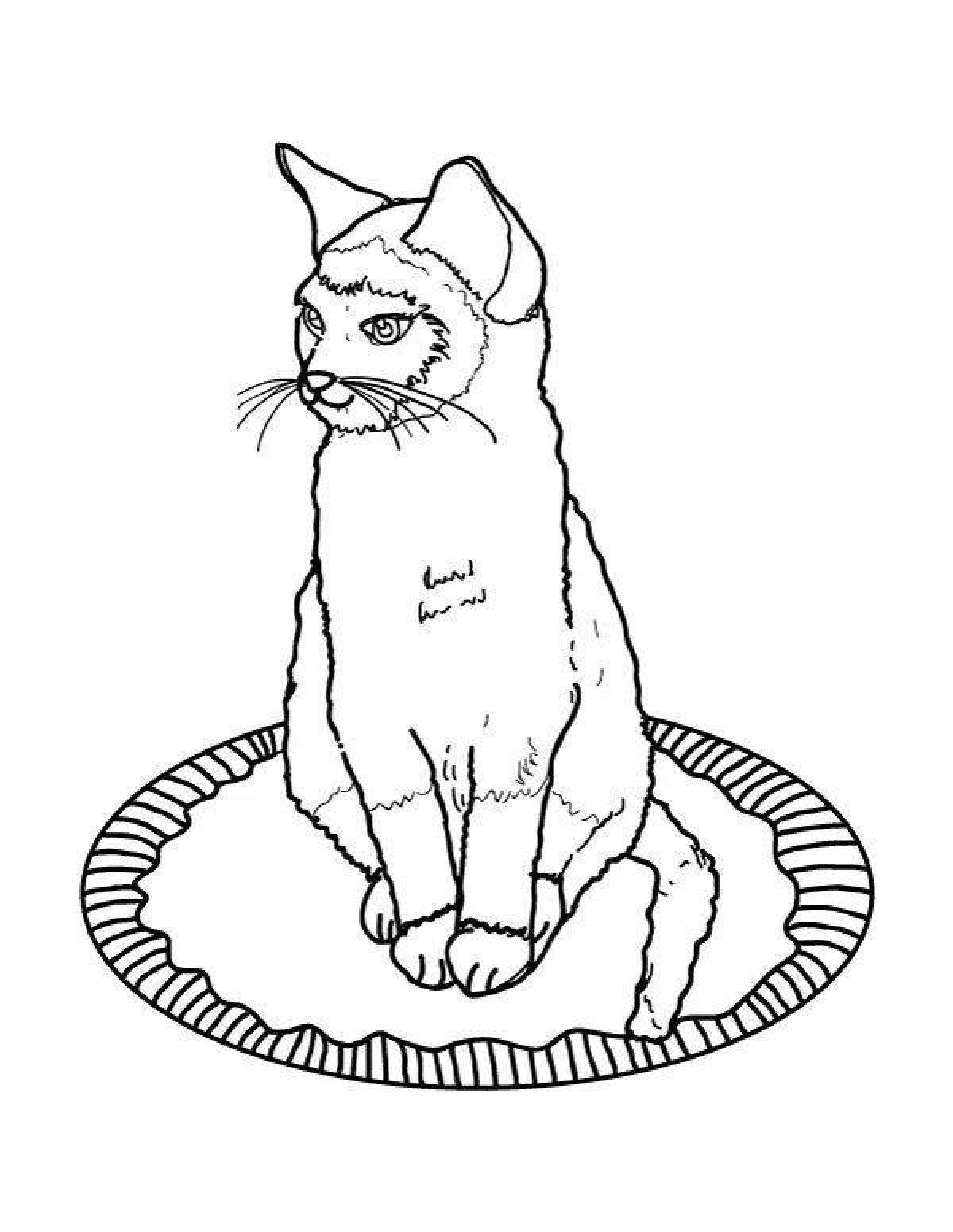 Adorable Siamese cat coloring page