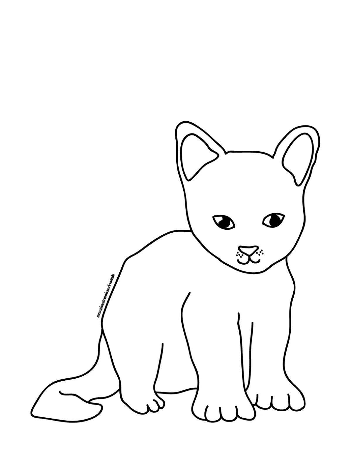 Coloring book playful Siamese cat