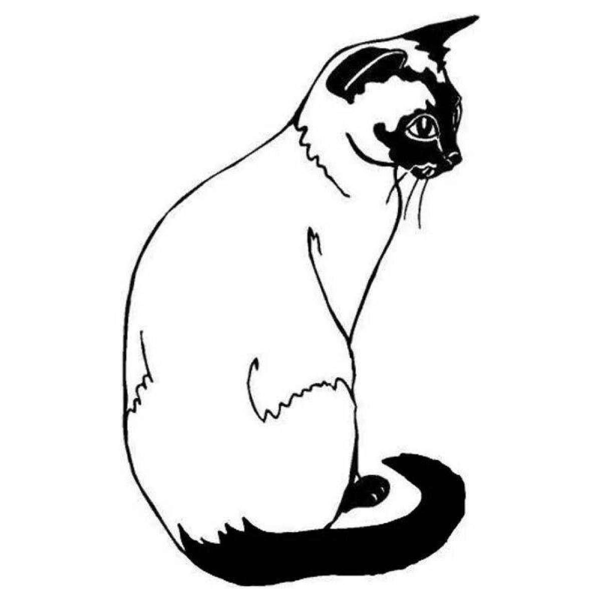 Coloring page cute siamese cat