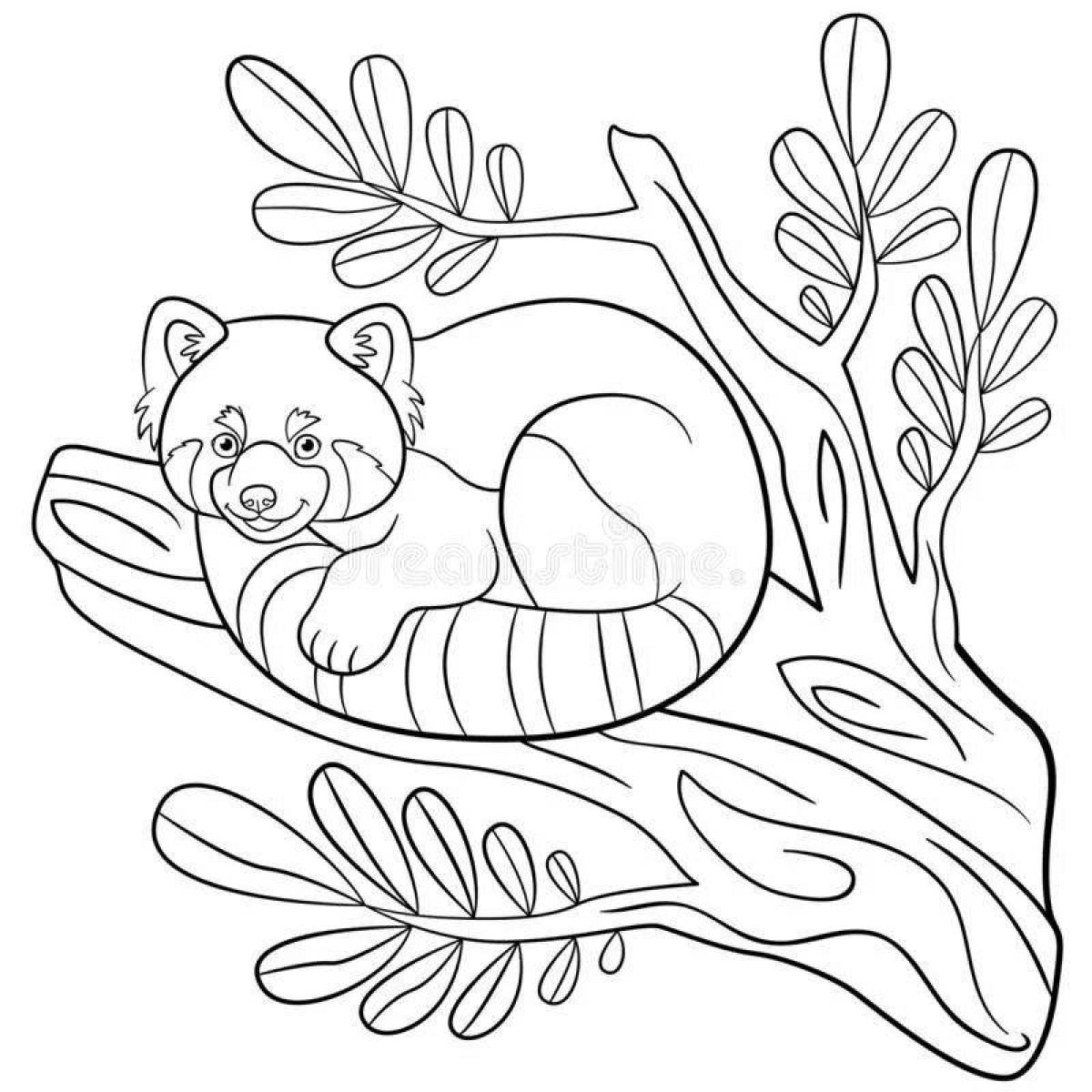 Little panda coloring book