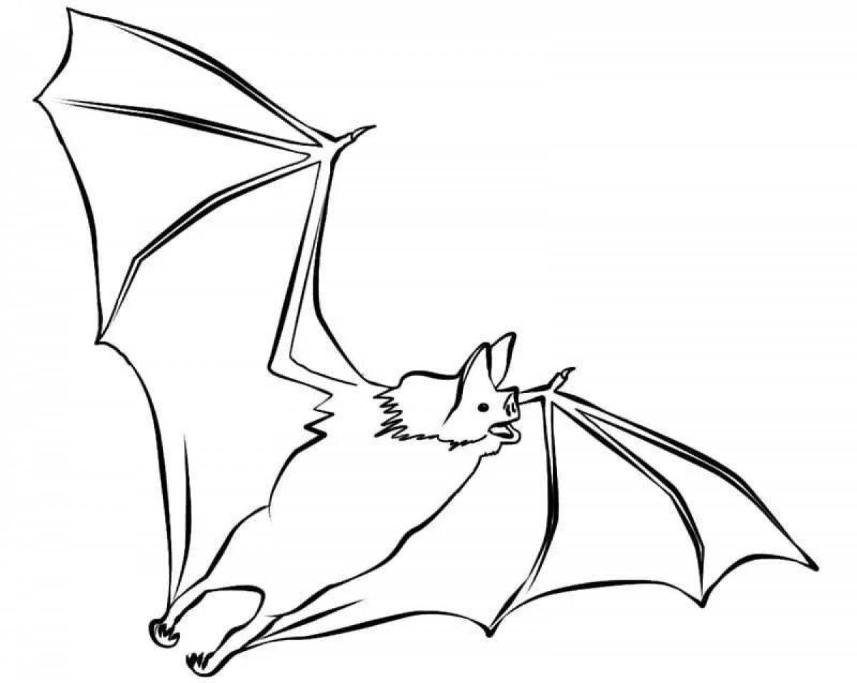Joyful coloring bat