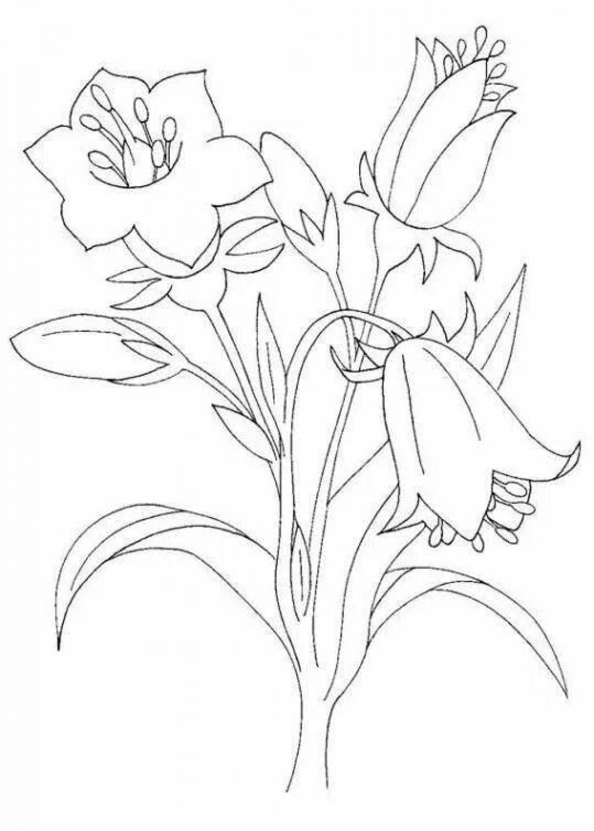 Cute bluebell flower coloring book